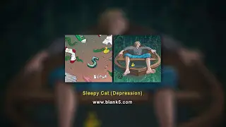 blank - Sleepy Cat (Depression)