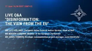 Disinformation: the view from the EU