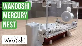 Ant Nest Review: WaKooshi Mercury Nest | BRUMA Ants