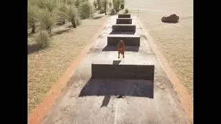 german shepherd jumping obstacles