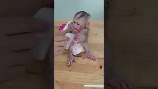 Baby Monkey Allow Mom Cleaning #cute #dog
