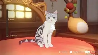 Dailies / Feline Fortress Furrdyssey Day-2 | Genshin Impact #556
