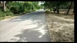 COMMERCIAL LAND 20×80=1600 square foot Satrikh Chaurahe k paas Petrol pump k bagal