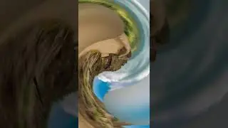 🚩#Shivneri#Fort#Pune#Shivjanambhumi#Shivajimaharaj#Viral#Short#Views#🚩