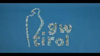 GW Tirol - Image Film