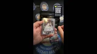 PYT Full Case Draft Megas