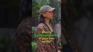 Lampoopalooza Trivia Game - Part 1