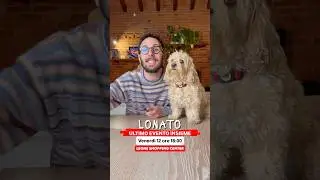 LONATO sto arrivando 🚀 #chico #canedivertente #divertente #funny #cane