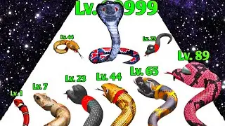 Snack Evolution Run 3D :- Level Up Snack Run Max Level Gameplay (New Update)