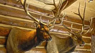 OFF MARKET! Mahoney Ranch &bull; Glade Park, Colorado For sale  United Country