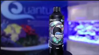 🌊 Unleash the Power of Bio-Enhance for Your Reef! 🌊