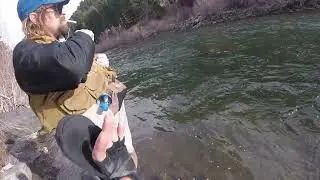 The Gallatin. I can’t believe this rivers dam fishing spot ￼