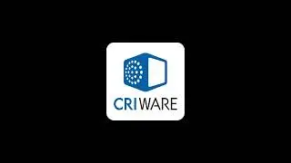 SEGA/Sonic Team/Unreal Engine/CRIWARE (2025)