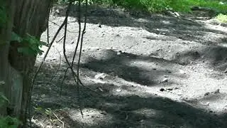 how to rip a berm on your dirt bike