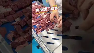 #Meat processing equipment manufacturer