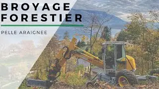 Broyage pelle araignée Menzi Muck M220