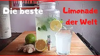 Ingwer-Minz Limonade selber machen