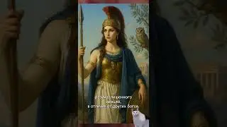 Афина и холодный разум история античность мифология