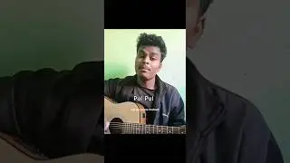 |Pal Pal Jeena | guitar cover | Shivvvmusic |