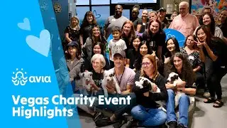 🎬🐾 Vegas Charity Event Highlights! 🐾🎬