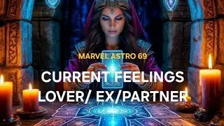 Tarot Card Reader, Numerologist, Life Coach
