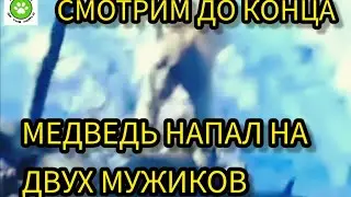 Медведь напал на двух мужиков. #медведь #bear #дикиеживотные #wildebeest #youtube #viralvideo