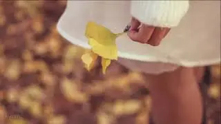 冬が来るまえに / オフコース