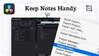 How to add project notes in DaVinci Resolve (Idea Saver)