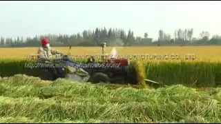 Working video of 4GL-120(150) rice/wheat harvesting machine (rice/ wheat reaper) 割曬機 / 稻麥收割機工作視頻