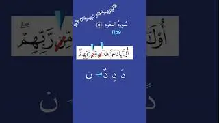 9.One Minute Tip (Albaqara 5). #imanhouta  #quraninstructors #islamicstudies #reverts #quranreading