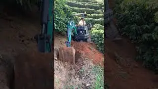 Terra&ccedil;o na lavoura de caf&eacute; com mini escavadeira hidr&aacute;ulica