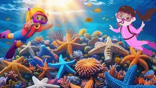 Top 10 Starfish species | Starfish Names | The Sea Star | types of Sea Stars #starfish #seastars