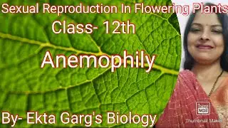 ANEMOPHILY (वायु परागण)