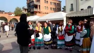 La Mula de Parenzo - Le Valleogrine - Schio Montagna in Citt&agrave; 2012 - Stefano Gersich (fisarmonica)