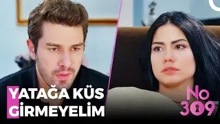 Çifte Kumrular Barışıyor 💖 - No: 309