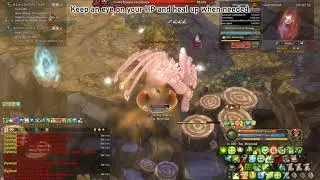 Tree of Savior &mdash; WBR Guide for Healers &mdash; Zaura &mdash; 162m dmg