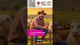 Weston Boarding Kennel - Pet Boarding Service in Westerlo, New York | Pet Near Me USA 30