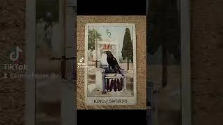 Major/Minor #COTD #tarot w/RoseCrow #affirmations #spirituality #intuitivereading