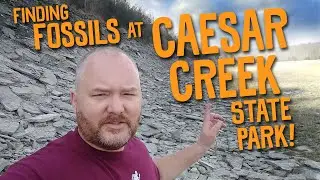 Находим окаменелости в государственном парке Сизар-Крик!