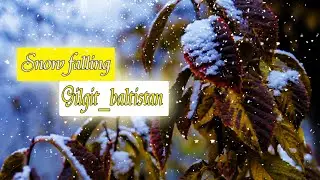 snow ❄️ fall at different areas of Gilgit-baltistan #snowfall #snow #gilgit_baltistan #fastfilms
