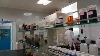 Biofertilizer, seaweed extract