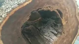 Most people see a rotten log. We see coffee tables...