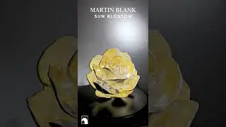 Artist Martin Blank Sun Bloom 2025