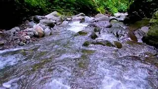 Gentle Mountain River Flowing Water to Relax the Mind, Calm White Noise