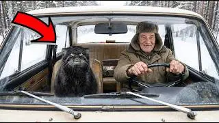 Дед ПОДОБРАЛ странного кота на дороге. То, кто это был - НЕВЕРОЯТНО!