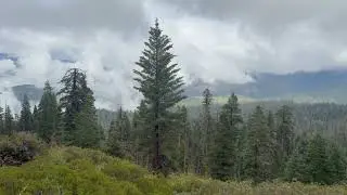 Panoramic Point | Kings Canyon National Park | 2025-09-19