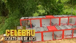 Noii concurenți „Sunt celebru, scoate-mă de aici”, supuși primei probe! Cine câștigă