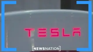 Tesla owners, dealerships see backlash because of Elon Musk | NewsNation Now