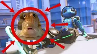 6'3 top 500 nonchalant lucio main!