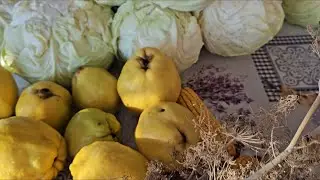 Varza murată pentru iarnă care ține și un an